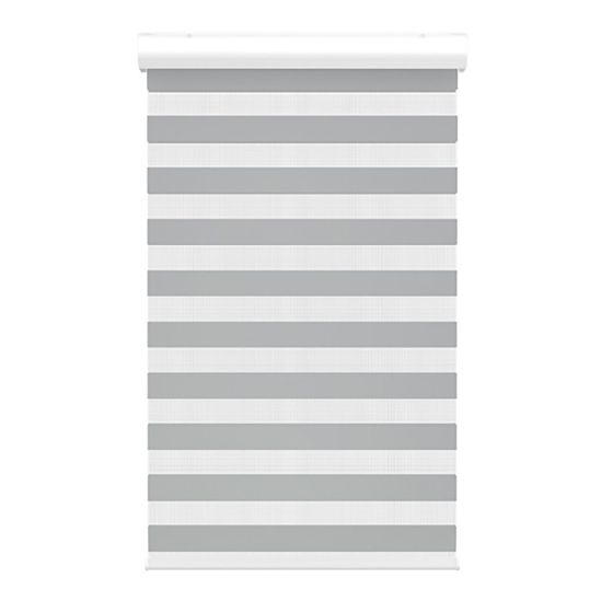 Cordless Zebra Roller Shade with Cassette - Grey - 48" x 72"