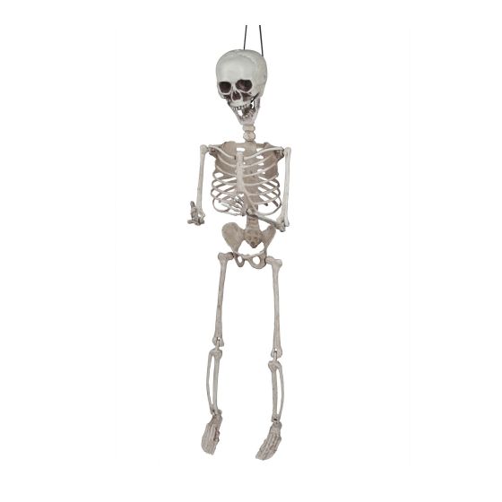 Poseable Hanging Skeleton - 28"