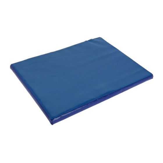 Tapis désinfectant, 55 x 45 x 3 cm, bleu