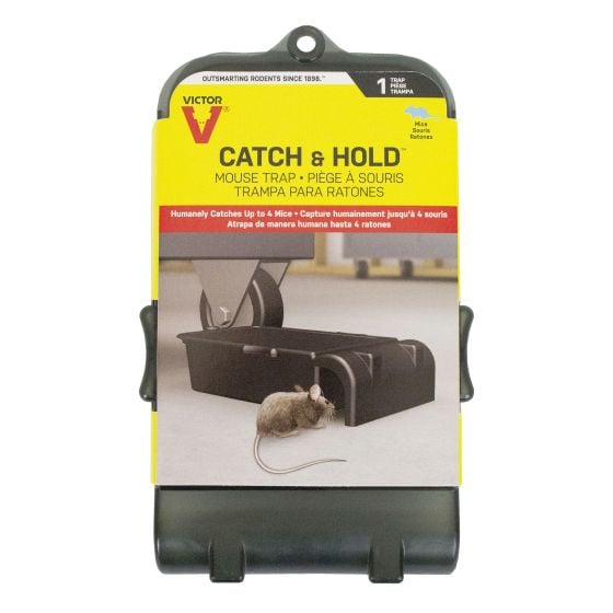 Mouse Trap Catch Hold
