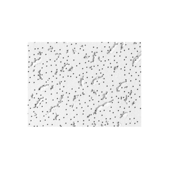 Ceiling Panel - 2' x 4' - 8/Pkg - Covers 64 sq. ft.