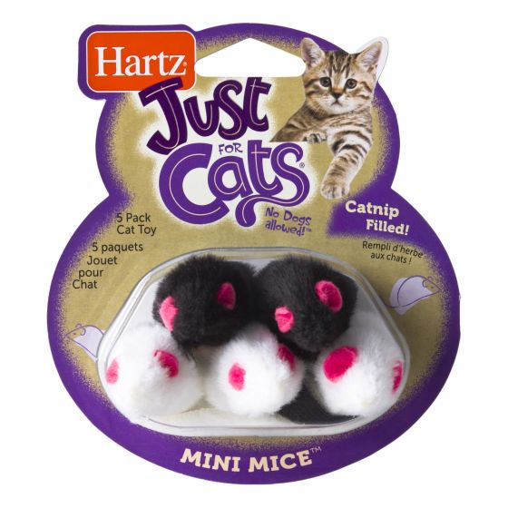 Mini mouse toy