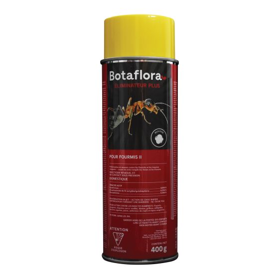 Ants foam insecticide