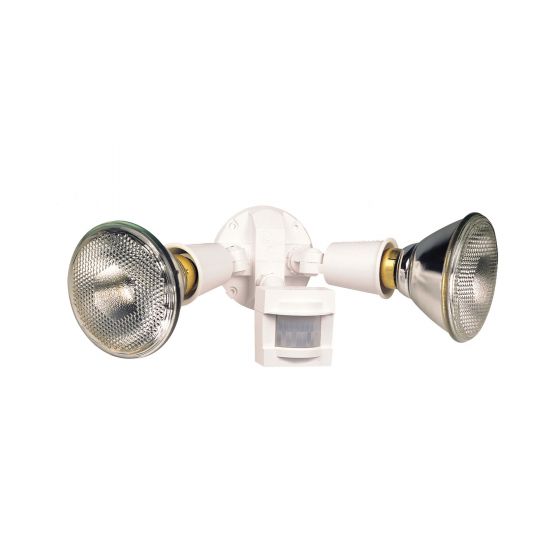 Security light with motion detector