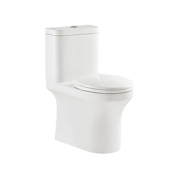 1-piece Single Flush Lucy Round Bowl Toilet - 4.8 L - White
