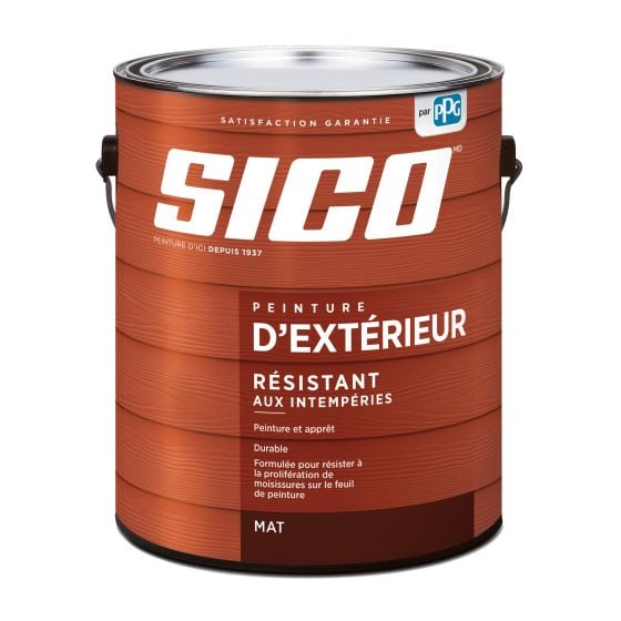 Paint SICO Exterior, Flat, Base 1