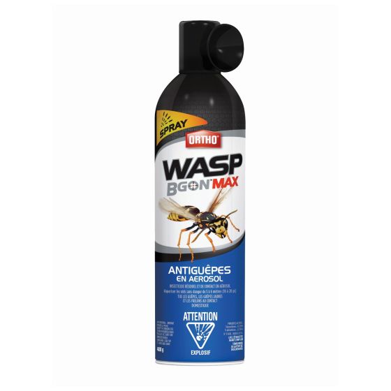 Destructeur de guêpes en aérosol Ortho Wasp B Gon Max