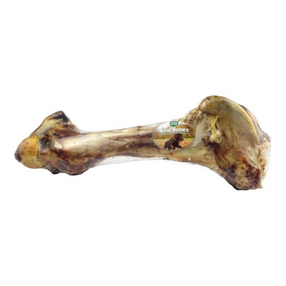 Dog large beef femur bone