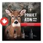Complete Kit for Young Male Deer - DNA Project - 210 ml