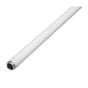 Fluorescent tube - T12 - Cool White - 60 W - 48"