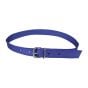 Cow Collar With Buckle Clasp - Blue - 40 mm