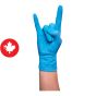 Nitrile Gloves - Powder Free - 4.5 Mil - Blue - 100/Pkg - Large