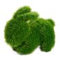 Topiaire de gazon, Lapin, vert, 12"