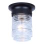 Outdoor Ceiling Light, Clear Glass, Flush Mount, 5-in x 6-in, Black
