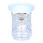 Outdoor Ceiling Light, Clear Glass, Flush Mount, 5-in x 6-in, White
