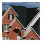 Asphalt Shingle, TruDefinition® Duration®, Onyx Black