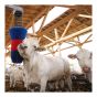 Oscillating Cow Brush - FlexiSwing - Spring-Mounted