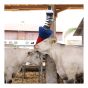 Oscillating Cow Brush - FlexiSwing - Spring-Mounted