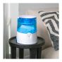 Warm Mist Humidifier - 0.5 Gal - Filter-Free