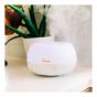 2-in-1 Ultrasonic Cool Mist Humidifier - 0.2 gal