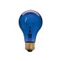 Ampoule fête, incandescente, A19, 60 W, bleu