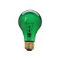 Party Bulb - Incandescent - A19 - 60 W - Green