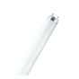 Fluorescent Tube - Cool White - 48" - T8 - 32 W