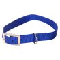 Collier à chien simple, bleu, 1" x 24"
