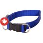 Collier à chien ajustable en nylon