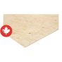 5/8" x 4' x 8' Contreplaqué CSP standard