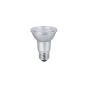 LED Lightbulb - PAR20 -  Daylight - 7 W - 2/Pack