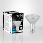 Ampoule DEL PAR30, lumière du jour, 11 W