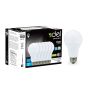 Ampoule DEL, A19, lumière du jour, 17 W, 6/pqt
