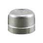 Stainless Steel Cap - 1"