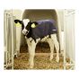 Easywear calf blanket