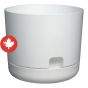 Self-Watering Oasis Planter - White - 12"