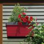 Jardin suspendu Botanica, rouge