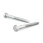 Hex Head Lag Screws - Zinc - 10" - 25/Pkg