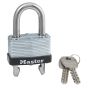Warded padlock