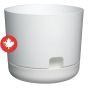 Self-Watering Oasis Planter - White - 8"