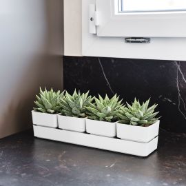 Ensemble de pots en plastique, Sierra, blanc, 4/pqt, 15"