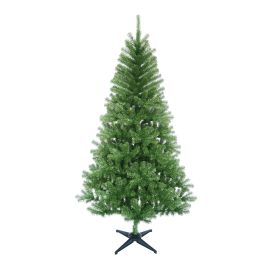 Sapin de No&euml;l, canadien, standard, 7'