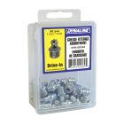 Sae Grease Fitting Assortment - Drive-In - 50 g