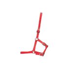 Foal Halter - Red - 0 to 300 lb