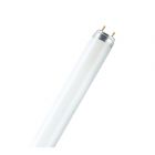 Tube fluorescent, blanc froid, 48", T8, 32 W