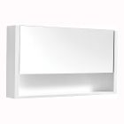 Medicine Cabinet with Mirror - Evolution - 1 Door/2 Shelves - 100"