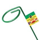 Support pour plante Miracle-Gro, 2" X 36"