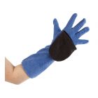 Cleaning glove for dogs
