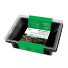 Microgreens Kit - Radish