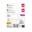 LED A19 Bulbs